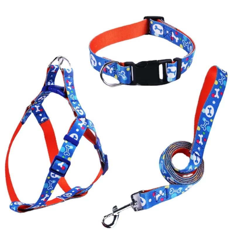 Collare e guinzaglio per cani