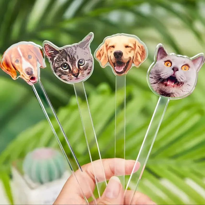 Agitatore per cocktail di nozze Agitatore per bevande personalizzate per animali domestici Sussina per souvenir di battesimo Agitatori per bevande per feste in acrilico Agitatori per cocktail personalizzati per animali domestici