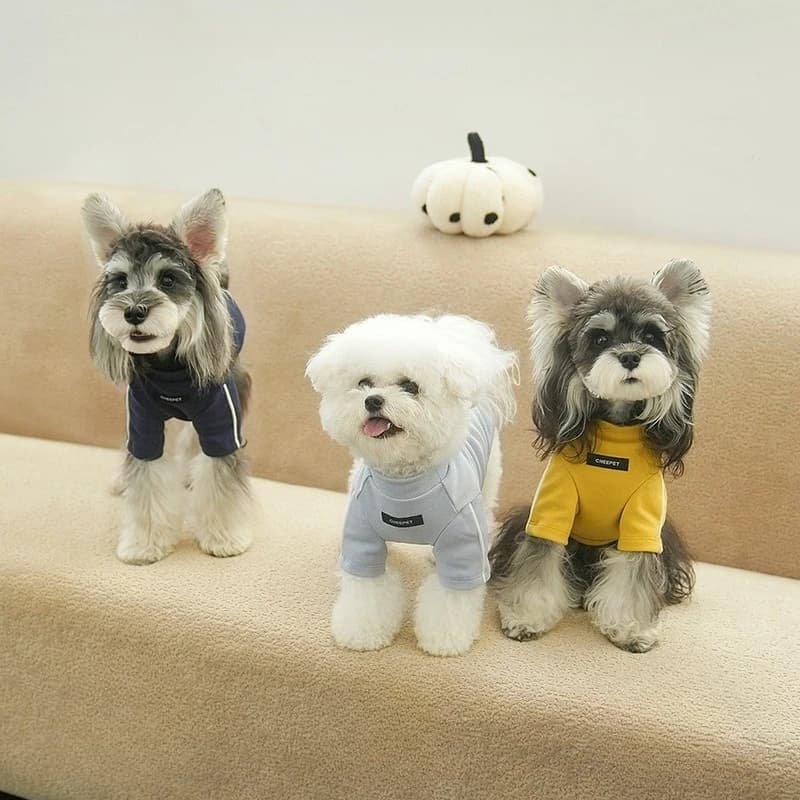 Camicia base autunno/inverno per animali domestici T-shirt a collo alto carina Teddy per cani Abito a due gambe Vestiti per cani per cani di piccola taglia Vestiti per cuccioli