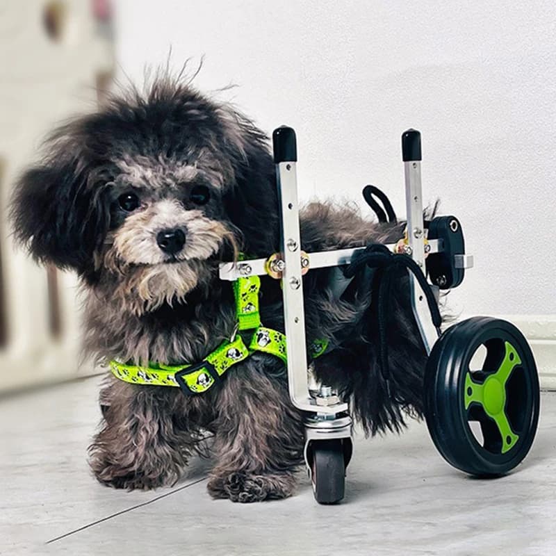 Carrozzina per cani a 4 ruote con imbracatura per zampe posteriori, ausilio per anziani e cani con paralisi, regolabile e leggera per cuccioli