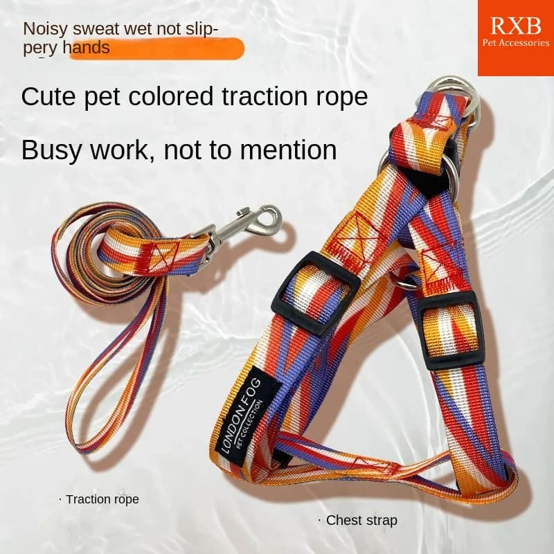 Nuovo Set di strisce arcobaleno in Nylon guinzaglio per cani di piccola taglia collare per gilet regolabile cucciolo per passeggiate all'aperto cane di taglia media