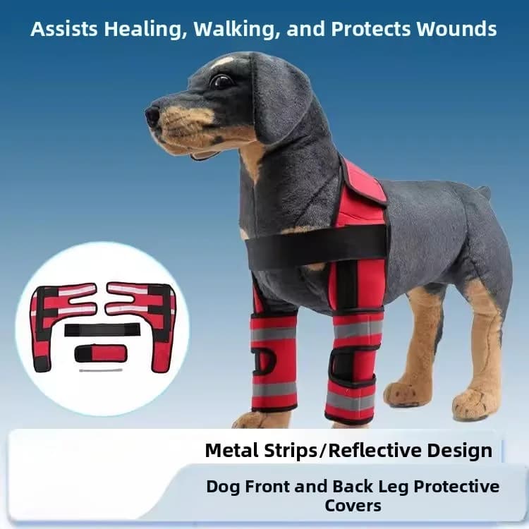 Supporto per la fissazione della gamba del cane, cintura di supporto per zampe anteriori e posteriori, protezione per le articolazioni del ginocchio, ausilio per il recupero post-operatorio, accessori per cani