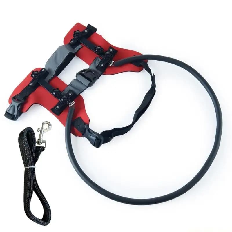 QX2E Collare paraurti sicurezza per animali domestici ciechi include guinzaglio per configurazioni rapide passeggiate sicure
