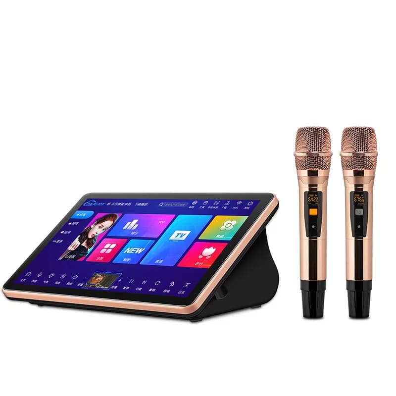 Best Selling Kids Karaoke Machine Fun And Interactive With Wireless Microphone & Speaker At An Price