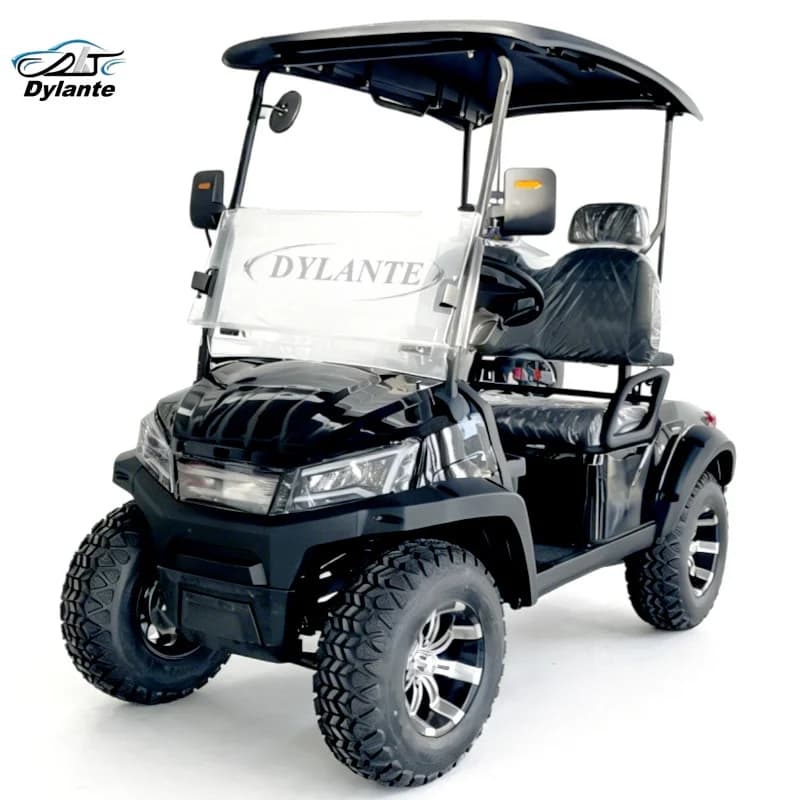 Nuovissimo Buggy Elettrico da Caccia Omologato per Strada, Lussuoso a 2 Posti, Rialzato, con Pannello Solare, Carrello da Golf Elettrico Personale