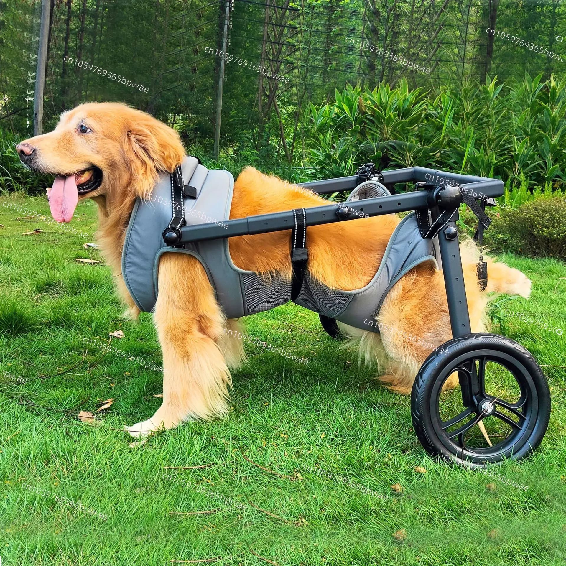 Carrozzina per Cani di Taglia Media e Grande, Carrello di Assistenza per la Riabilitazione e la Deambulazione, Scooter per Cani
