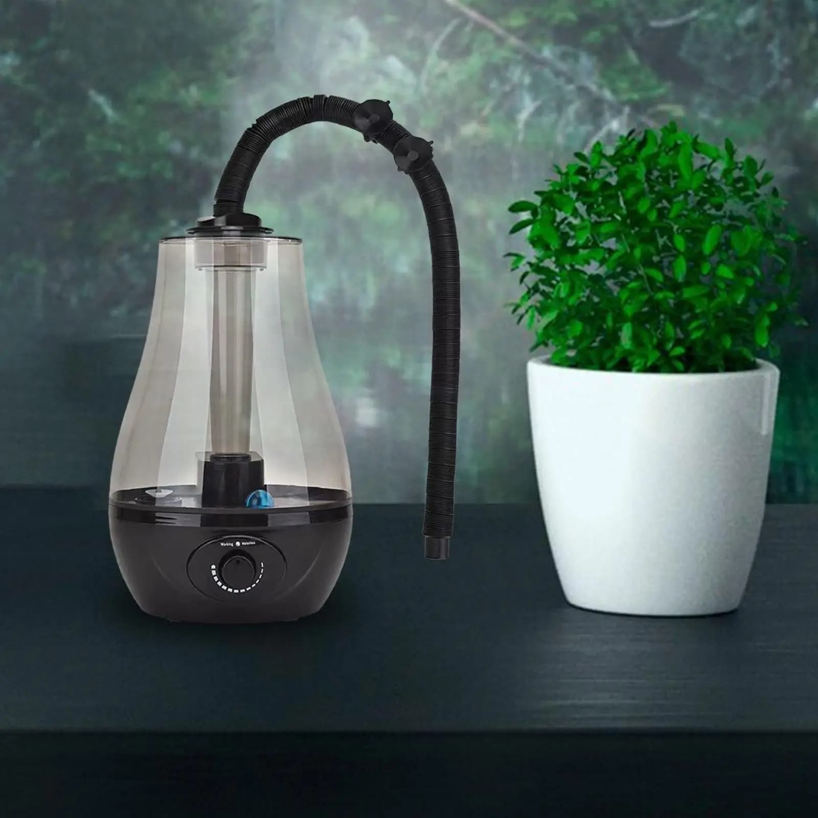 Macchina per nebbia per rettili Mister Slient 3L per serbatoio per terrario per rettili