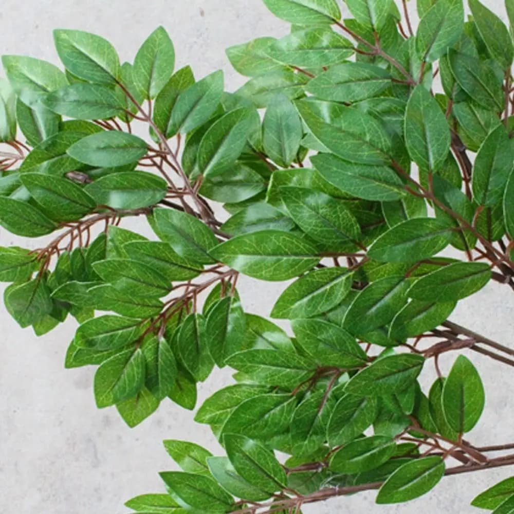 Faux Sophora Plants 60cm Artificial Sophora Leaves Real Touch Plastic Sophora Leaf Branch Lifelike Fake Plants Home Garden Decor