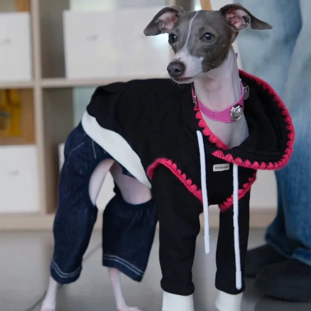 Felpa con cappuccio alla moda per levriero italiano Giacca invernale calda Cappotto per Whippet Small Mid Dogs Costume Autunno Terrier