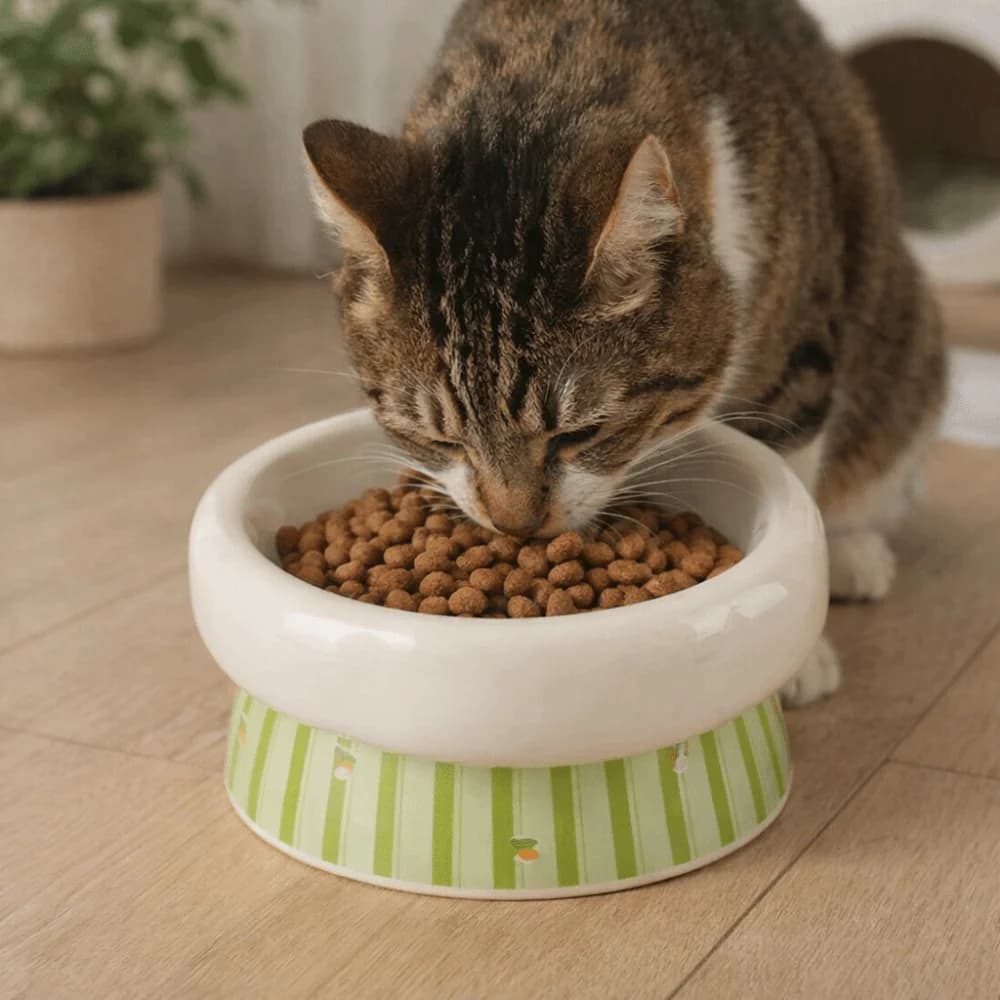 Ciotola per Gatti in Ceramica Alta con Bordo Largo Anti-Ribaltamento, Base Antiscivolo, Previene Fuoriuscite, per Acqua e Cibo