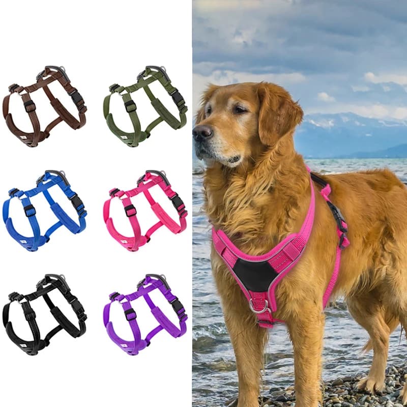 Pettorine per cani leggere e traspiranti a forma di H con manico in pelle Imbracatura per gilet in nylon morbido riflettente regolabile Accessori per cani