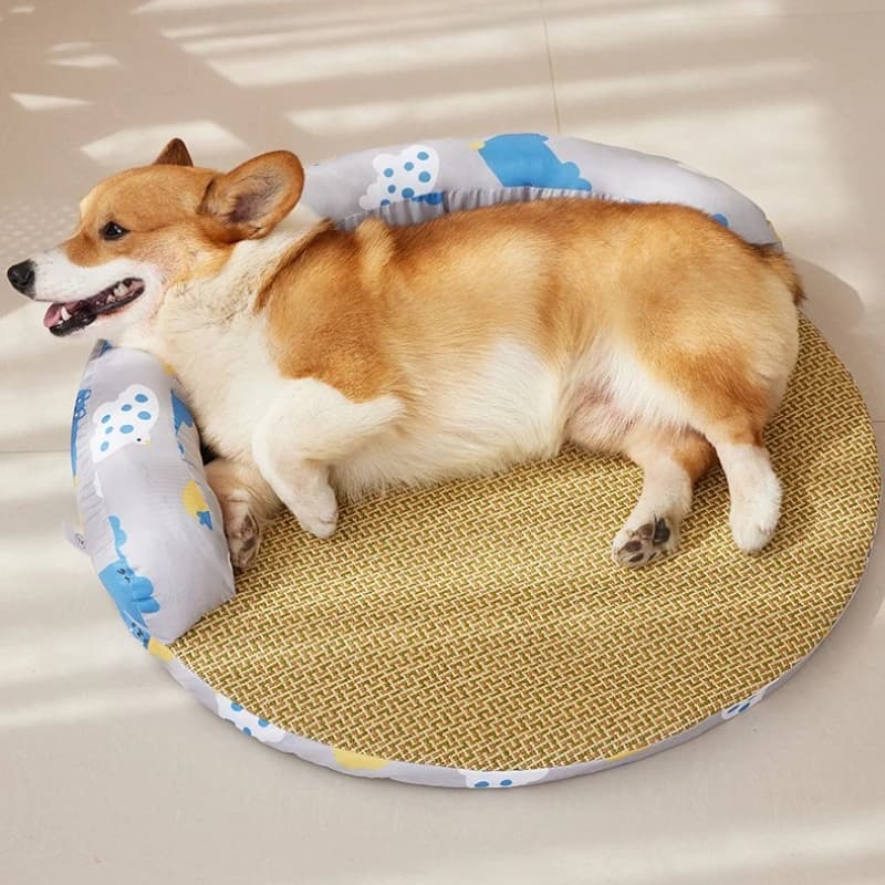 Cuccia Estiva per Cani di Piccola e Media Taglia, Tappetino Rinfrescante Traspirante per Cani, Cuccia Lavabile per Cuccioli, Forniture per Animali Domestici