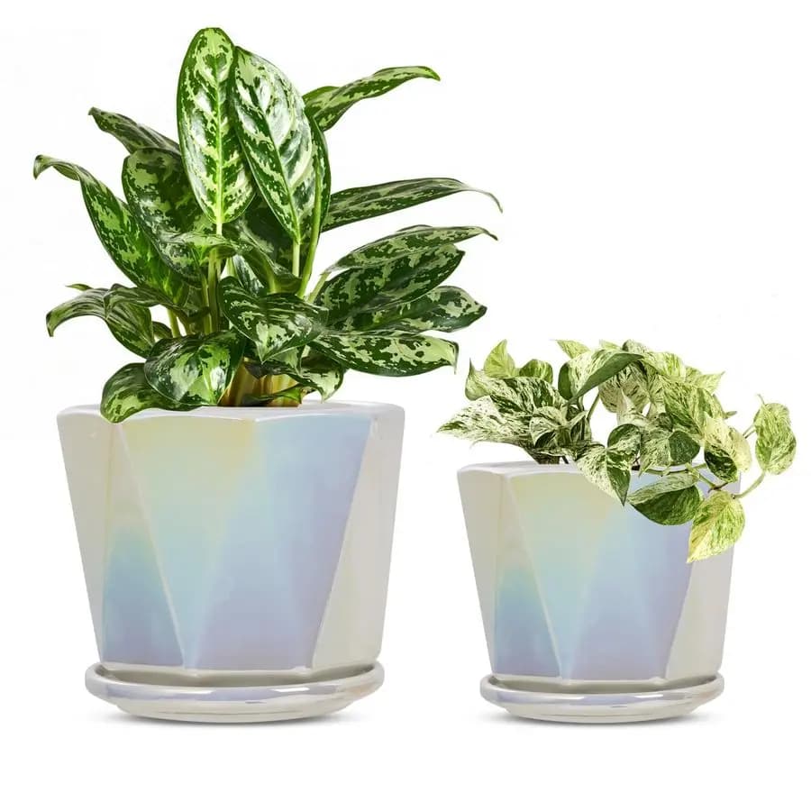 Vases for iridescent white ceramic plants, small pots for indoor plants with drainage holes and underwater, 2 pots for plants.