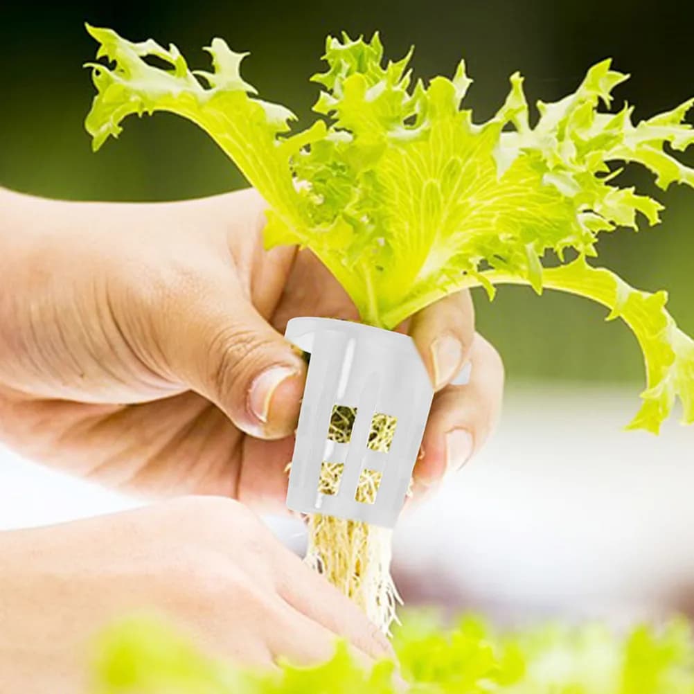 50Pcs Hydroponic Planting Cups Net Pots for Soilless Cultivation Balcony Indoor Gardening Root Monitoring Basket Reusable
