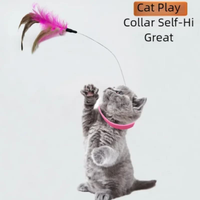 Giocattolo interattivo per gatti con campana di piume con collare nuovo Forniture per animali domestici di autointrattenimento per collare per gatti per il tempo di gioco migliorato