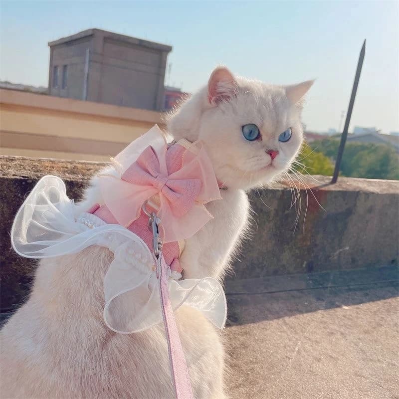 Pettorina con guinzaglio per gatti, gonna da principessa, abbigliamento per animali domestici multiuso, vestito da fata per gatti e cani, guinzaglio per gatti e cani