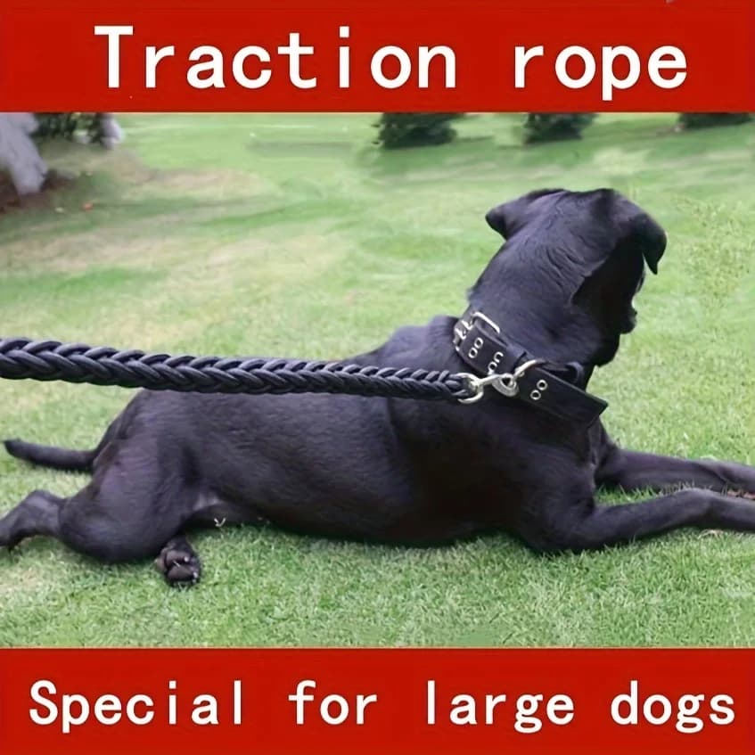 Guinzaglio per cani intrecciato Comfort-Strong da 5 piedi: ideale per un allenamento efficace e passeggiate divertenti. La durata soddisfa il Comfort