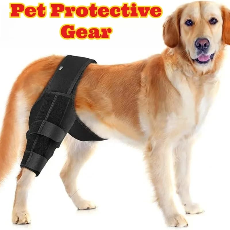 Supporto per gamba posteriore per cani Tutore per ginocchio Cani feriti Recupero post-chirurgico Sollievo dal dolore articolare Regolabile riutilizzabile Gamba posteriore canina
