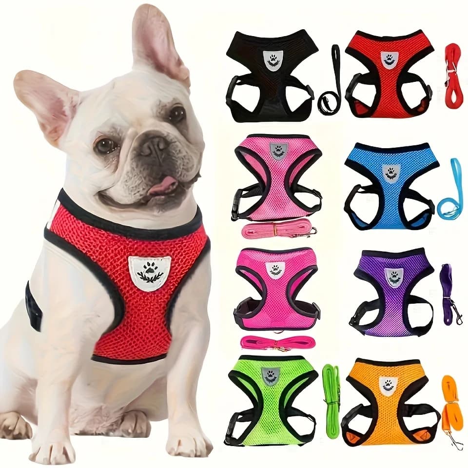 Guinzaglio per cani con pettorina in rete traspirante, collare per cani, guinzaglio da passeggio stile gilet per esterni, comodo per l'addestramento