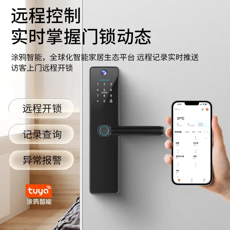 Serratura Intelligente per Porte in Legno con Riconoscimento Impronte Digitali, Design Graffiti Cat Eye, Controllo Remoto e Accesso con Scheda RFID