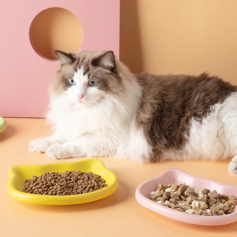 Cat-Shaped Plastic Pet Bowls Household Cat Bowl Food Grade Non BPA Kittens And Small Pet Hydration Treat And Snack Time