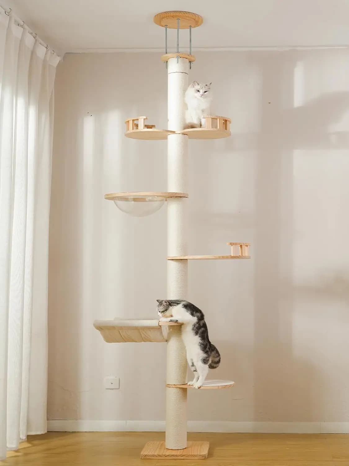 Torre per Gatti in Legno Massello Regolabile in Altezza, Materiale Naturale, Capsula Trasparente, 5 Livelli