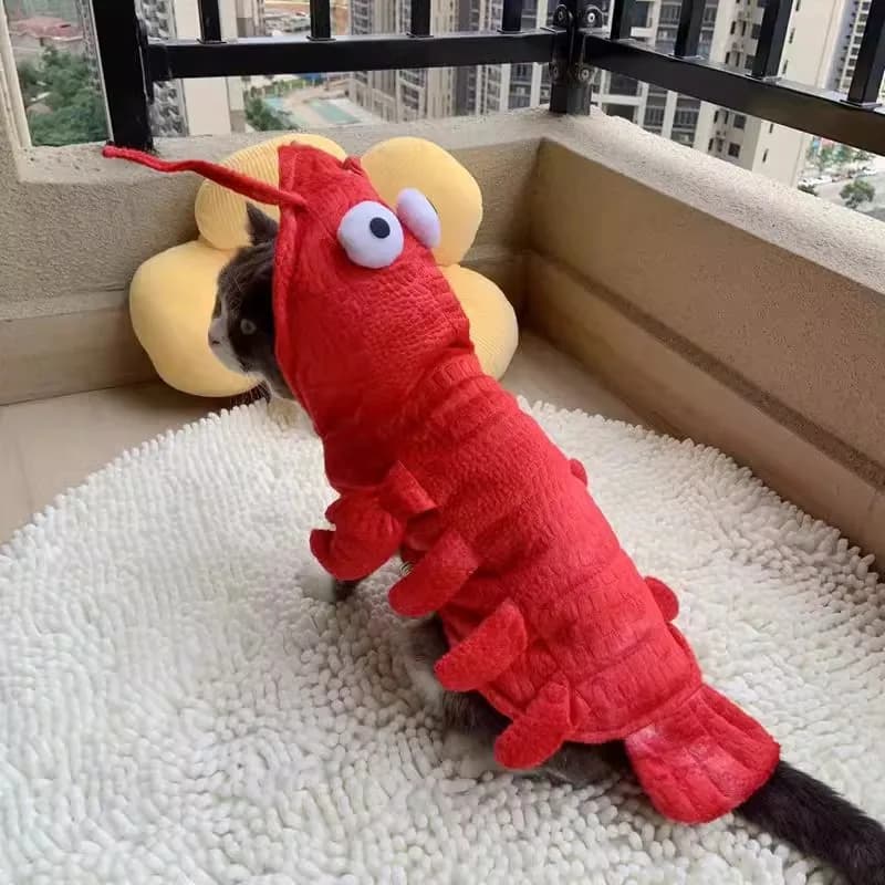 Costume da Aragosta per Animali Domestici, Vestito Divertente e Unico per Cani e Gatti, Accessori per Travestimenti