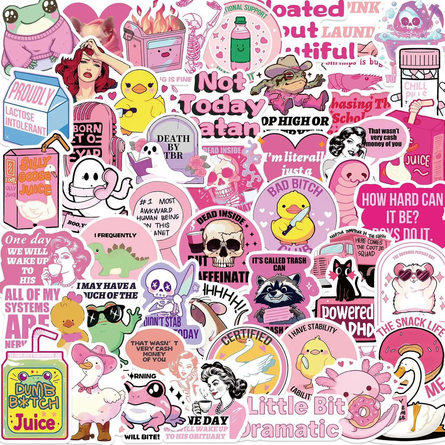 50Pcs Pink Funny Stickers for Adult,Pink Meme Decals For Laptop Scrapbook Luggage Guitar Helmet DIY Graffiti Stickers
