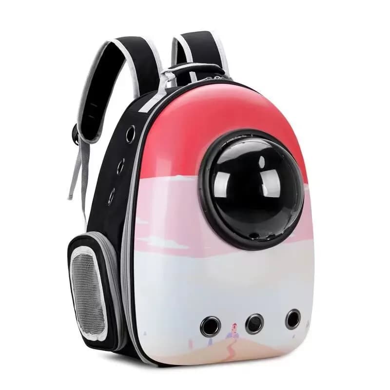 Trasportino per animali domestici, borsa da viaggio per gatti, zaino portatile a doppia tracolla per animali domestici, gabbia per gatti, capsula spaziale, apertura laterale