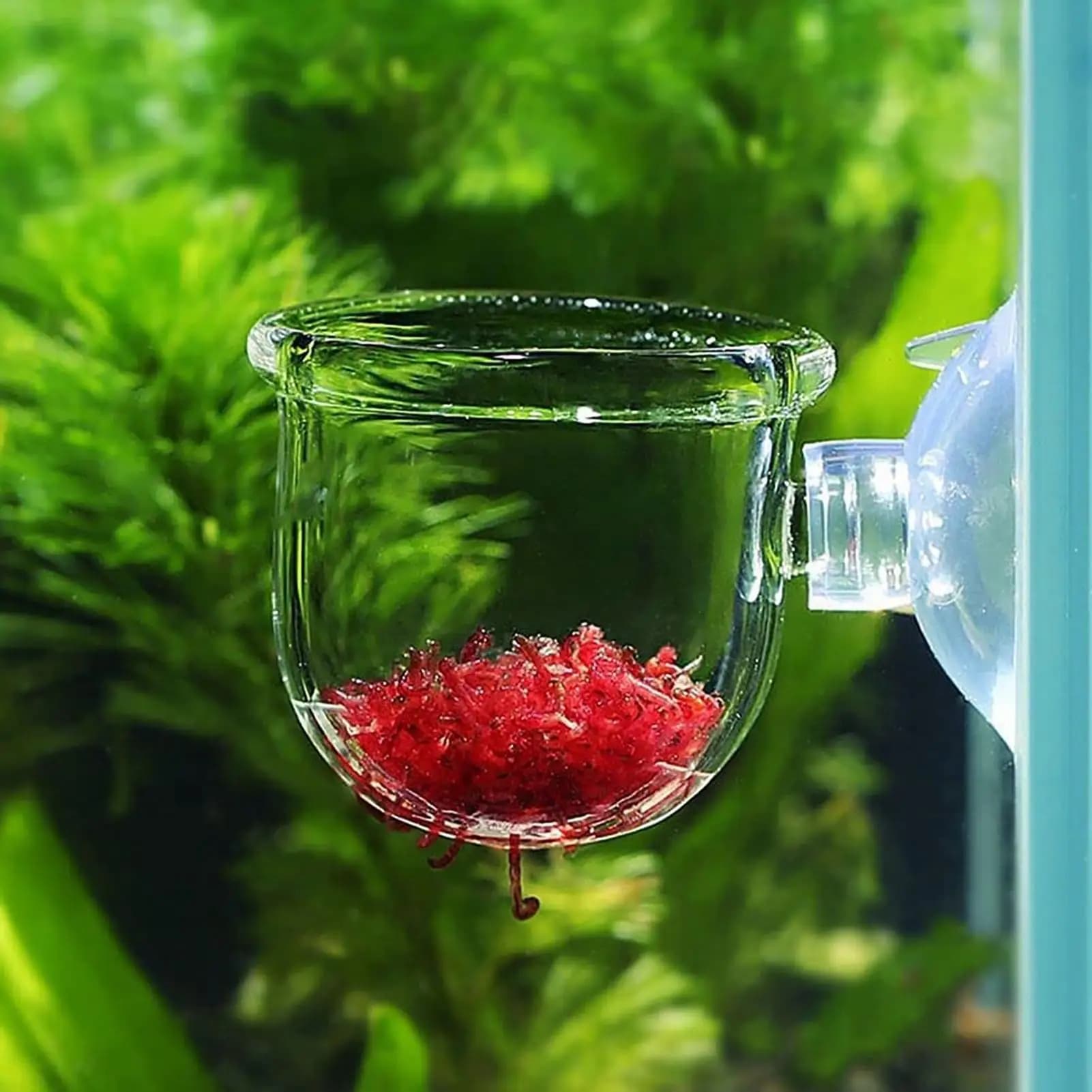 Plant Holder for Fish Tank Clear Acrylic Aquarium Plant Pots with Suction Cup Fish Tank Decorations for Propagation Cultivation