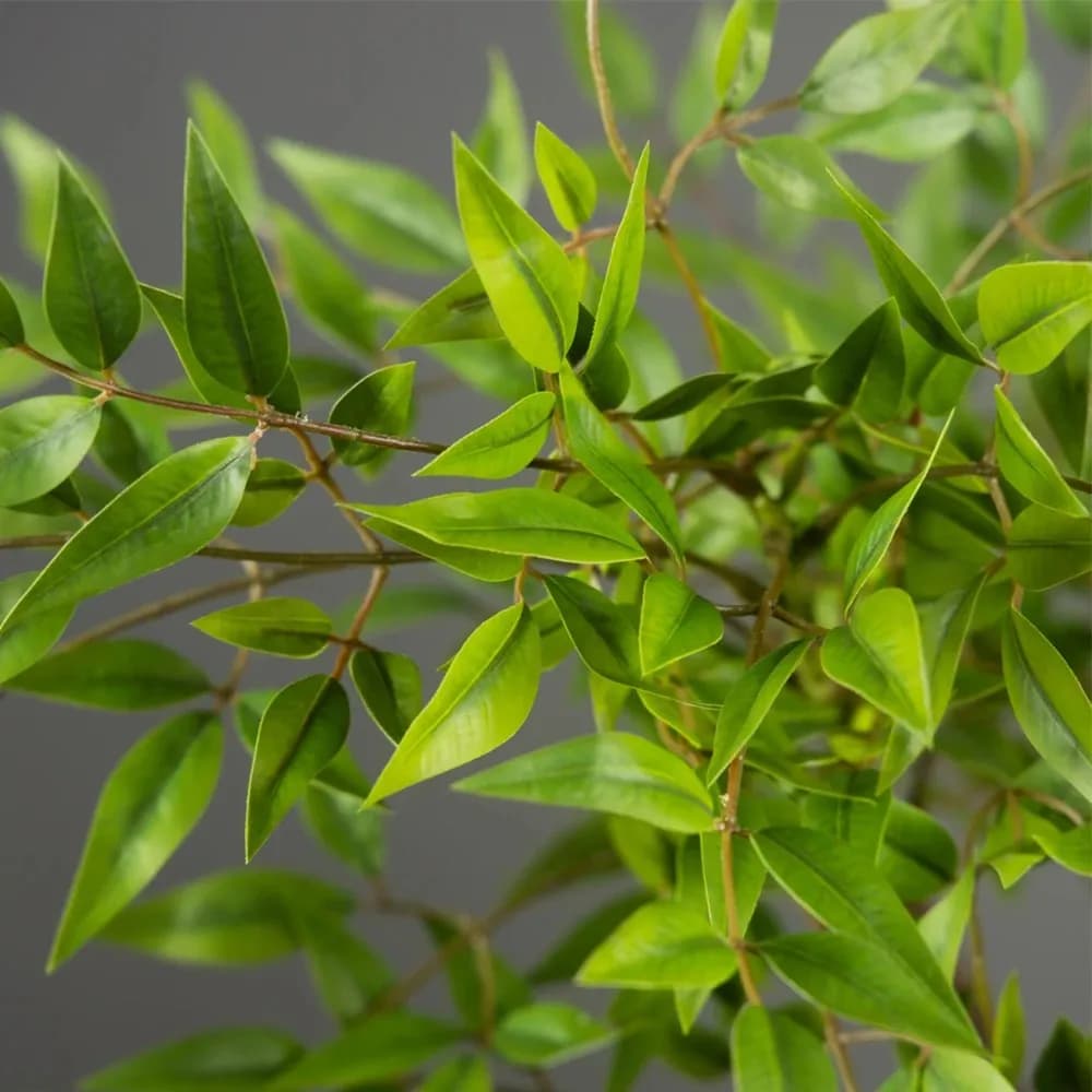75-110cm Tall Artificial Nandina Plant Fake Tropical Palm Branches Green Bamboo Leaves Home Garden Office Decor Plastic Fake Pla