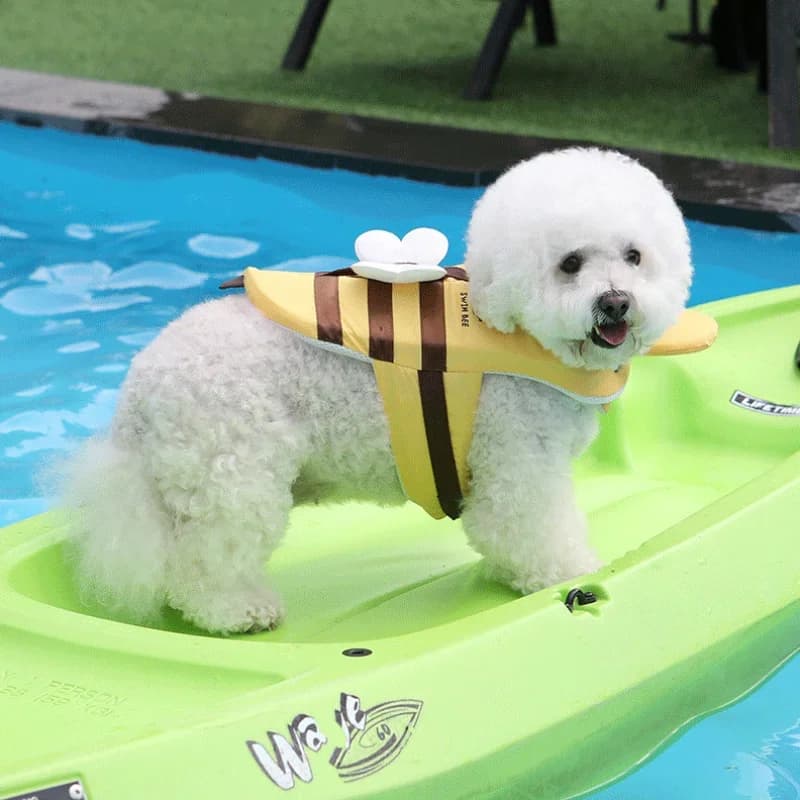 Costume da bagno estivo per cani piccola ape Giubbotto di salvataggio impermeabile per cuccioli Abbigliamento per cani traspirante Imbracatura di sicurezza per il nuoto per cani Forniture per animali domestici