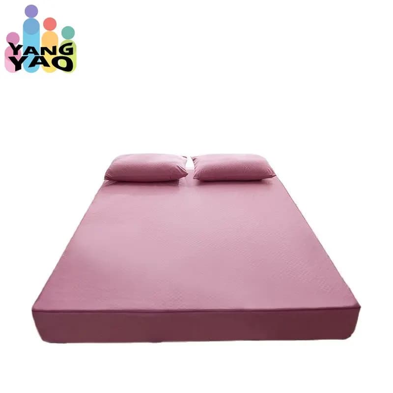 Double Sided Waterproof Mattress Cover with Zipper Six Sides Full Coverage Tatami Mattress Cover Queen Customize Bed Shee