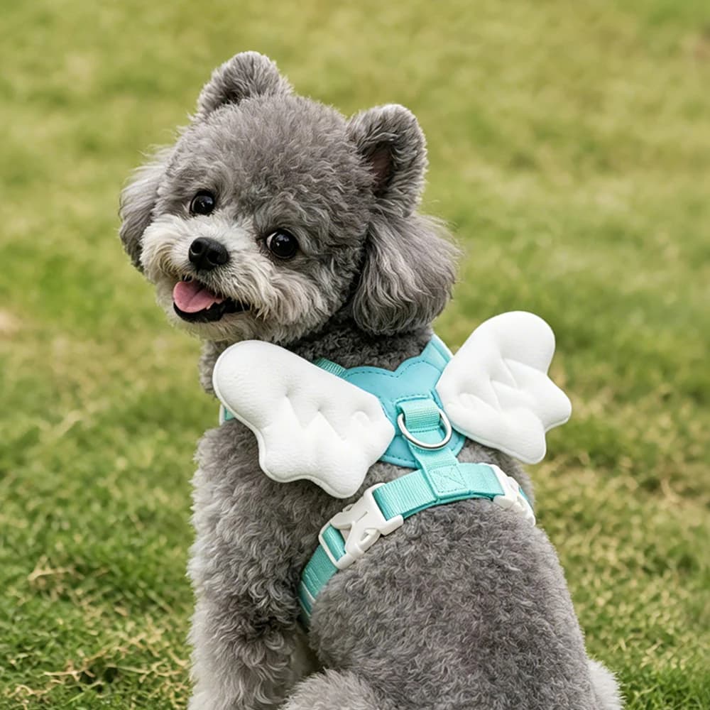 Dog Harness Leash Adjustable Vest Style No Pull Escape Proof with Angel Wings Pet Walking Lead for Outdoor Daily Use