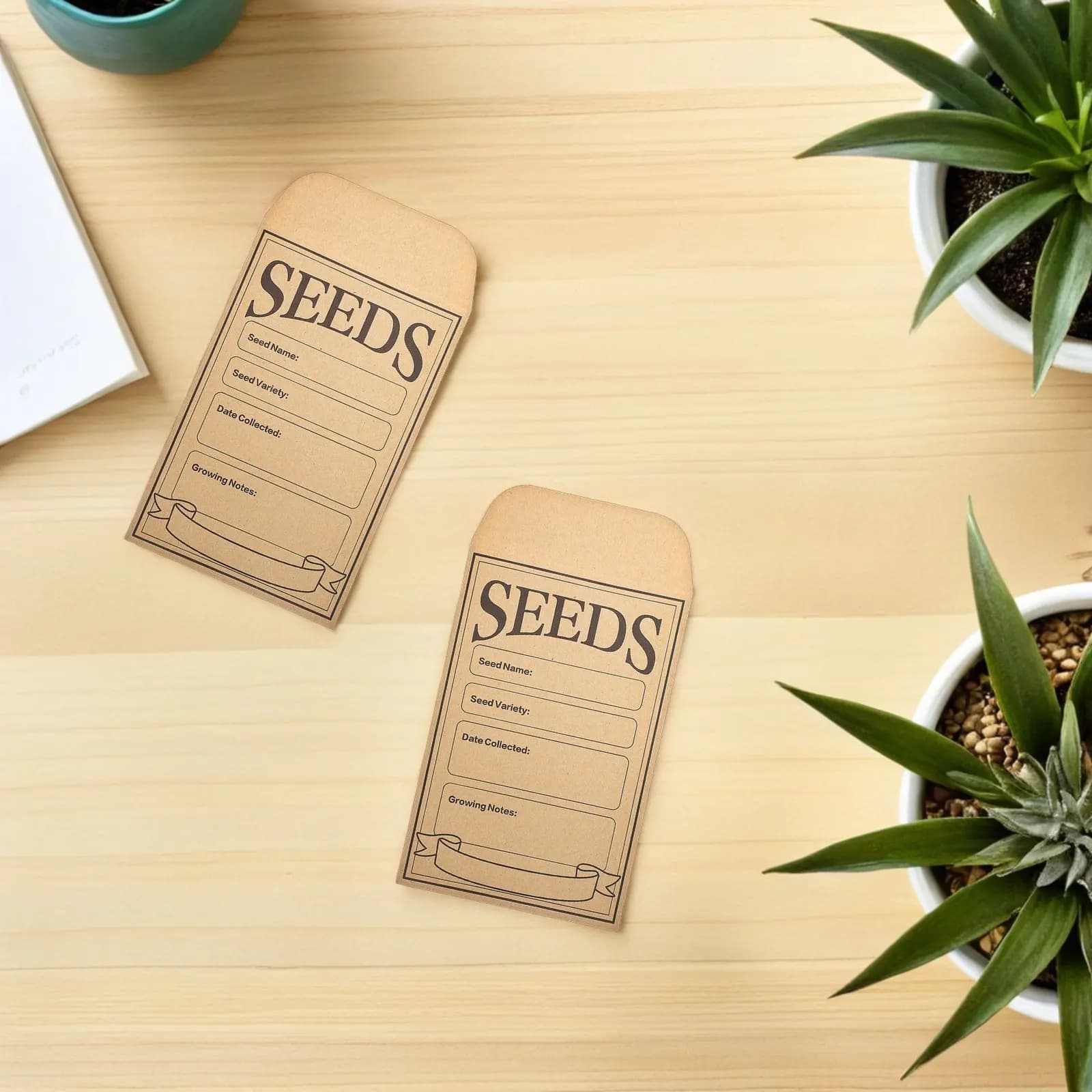 50 Buste per Conservazione Semi, Mini Buste in Carta Kraft Autoadesive per Semi di Fiori e Verdure, Conservazione Monete, Spedizione
