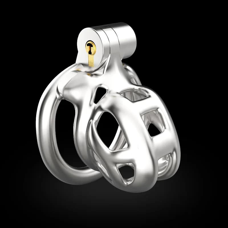 New Curved Ring Chastity Cage Stainless Steel Anti Cheating Concealed Lock Cock Ring Penis Restraint Control Penis Lock sex toys
