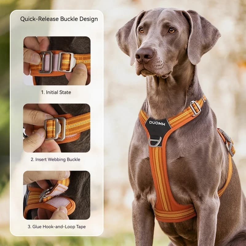Dog Chest Harness Traction Rope With Reflective Strip Durable Adjustable Soft Lightweight For Outdoor Pet Walk Stop Dog Lunging