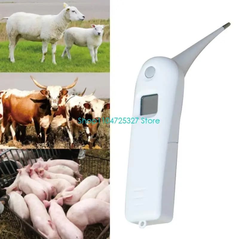 D8KF Termometro veterinario Termometro veloce Fornisce temperature precise Indicazione segnali acustici Spegnimento per cane