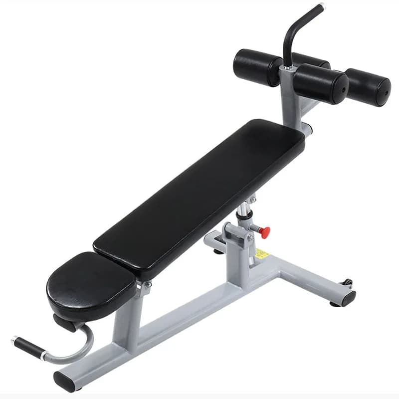 Gym equipment with flat bench with handlebars 2025 - Fitness bench plated for gym and home workouts