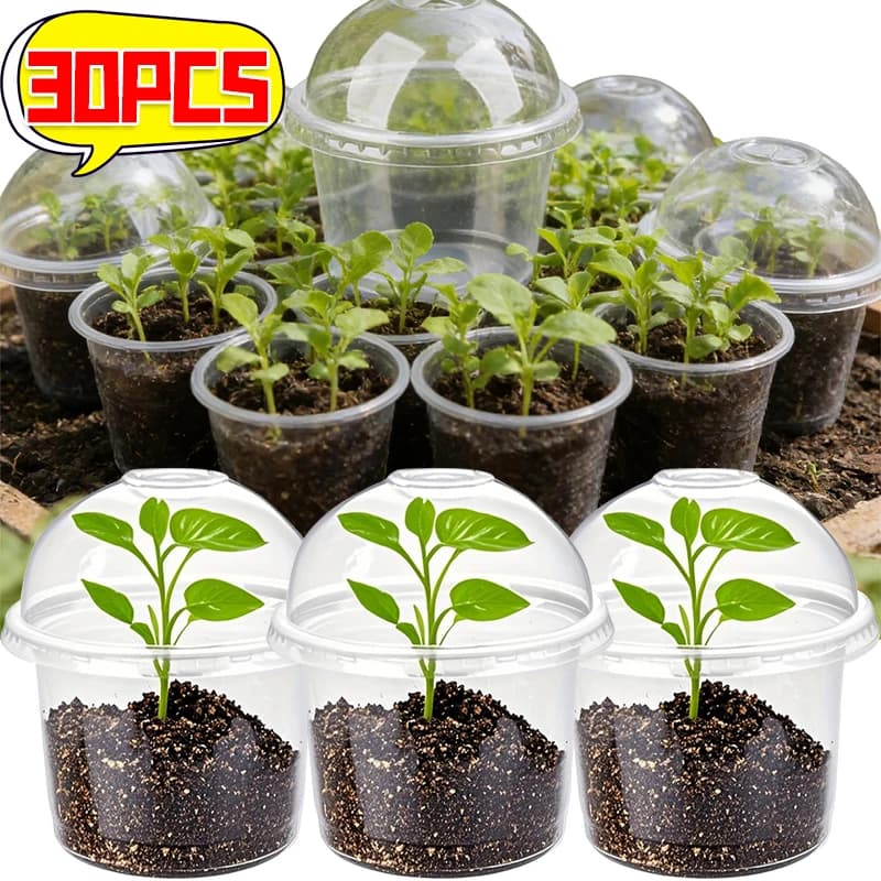 Transparent nursery vases with lids, transparent plastic containers for flowers, cups to observe the roots, containers for seed growth