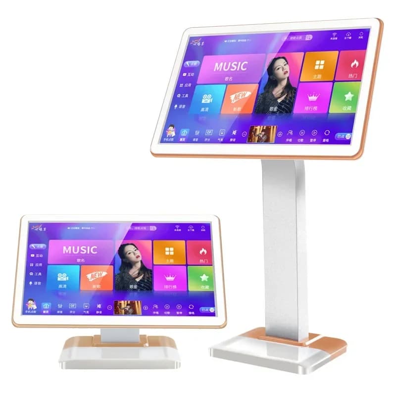 Macchina Karaoke Professionale da 19 Pollici con Schermo Touch e Libreria Completa di Canzoni