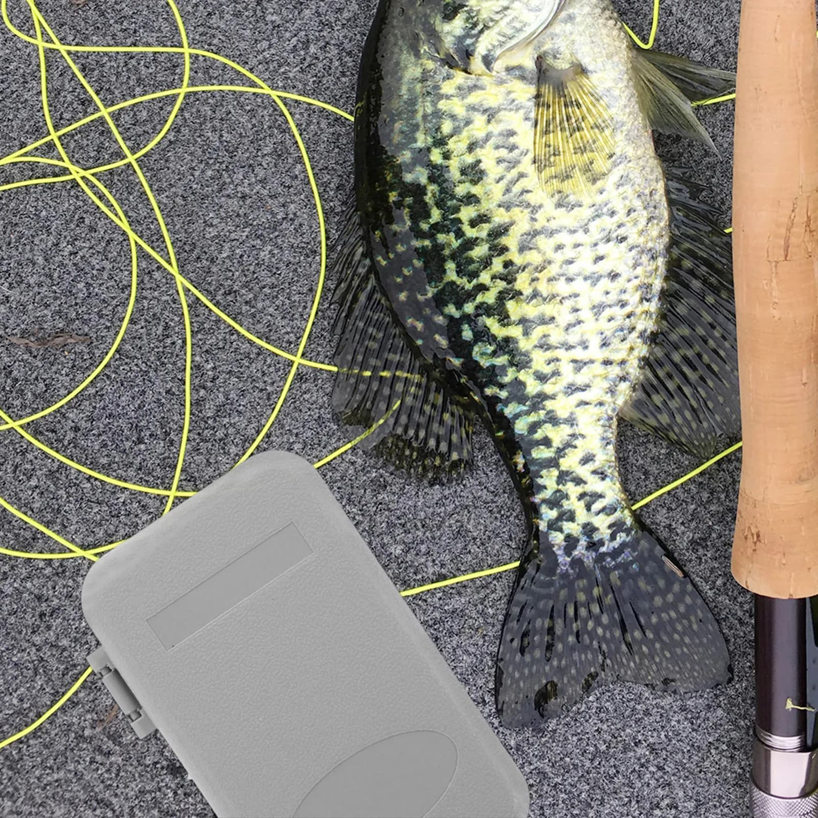 Scatola da Pesca in ABS con Organizer Multicomparto per Ami, Esche, Lenze e Accessori Terminali - Portatile e Compatta per la Pesca a Mosca