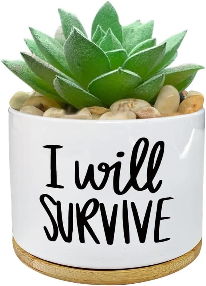 I Will Survive Ceramic Succulent Plant Pot with Bamboo Tray Green Planters Creative Flowerpots for Gardener's Gift