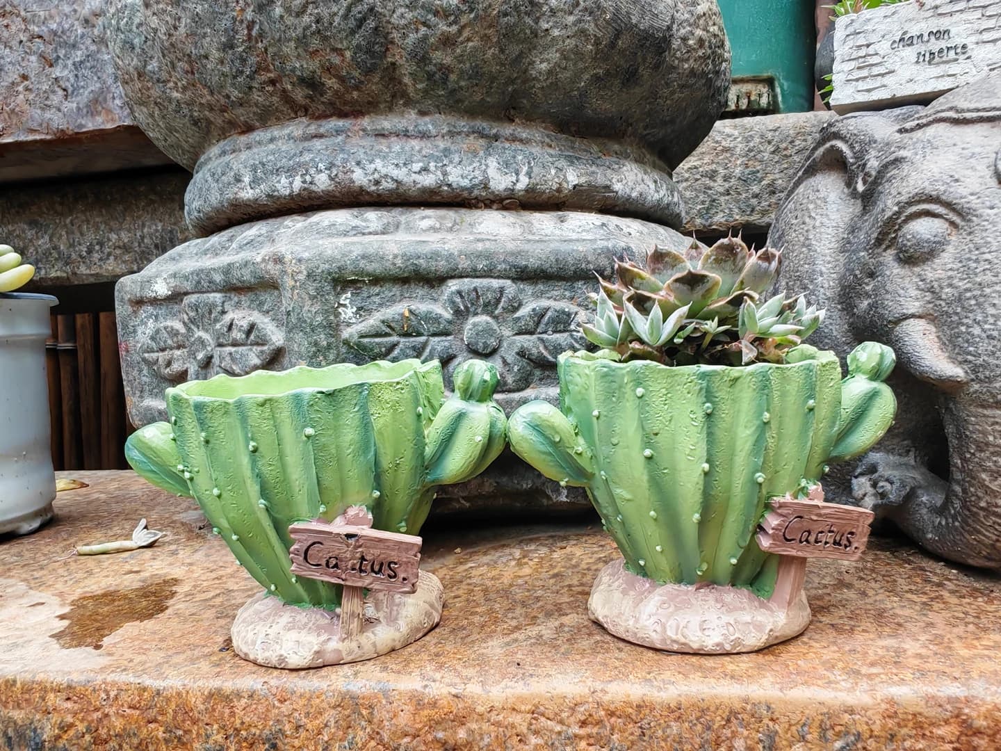 Vaso per Fiori a Forma di Cactus, Grazioso Mini Vaso in Resina con Fori di Drenaggio, Decorazione per Interni ed Esterni