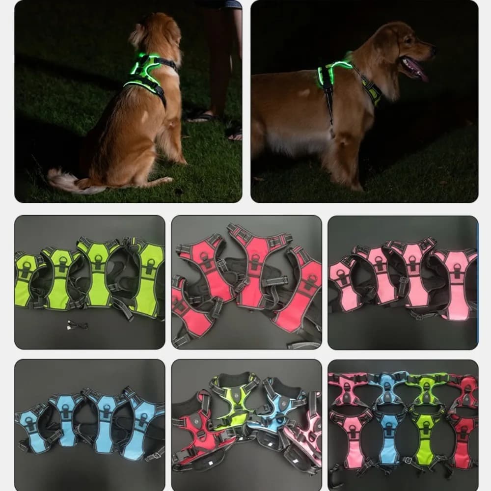 Pettorina per cani a LED luminosa ricaricabile, con cinturino pettorale lampeggiante, regolabile e morbida, per passeggiate notturne