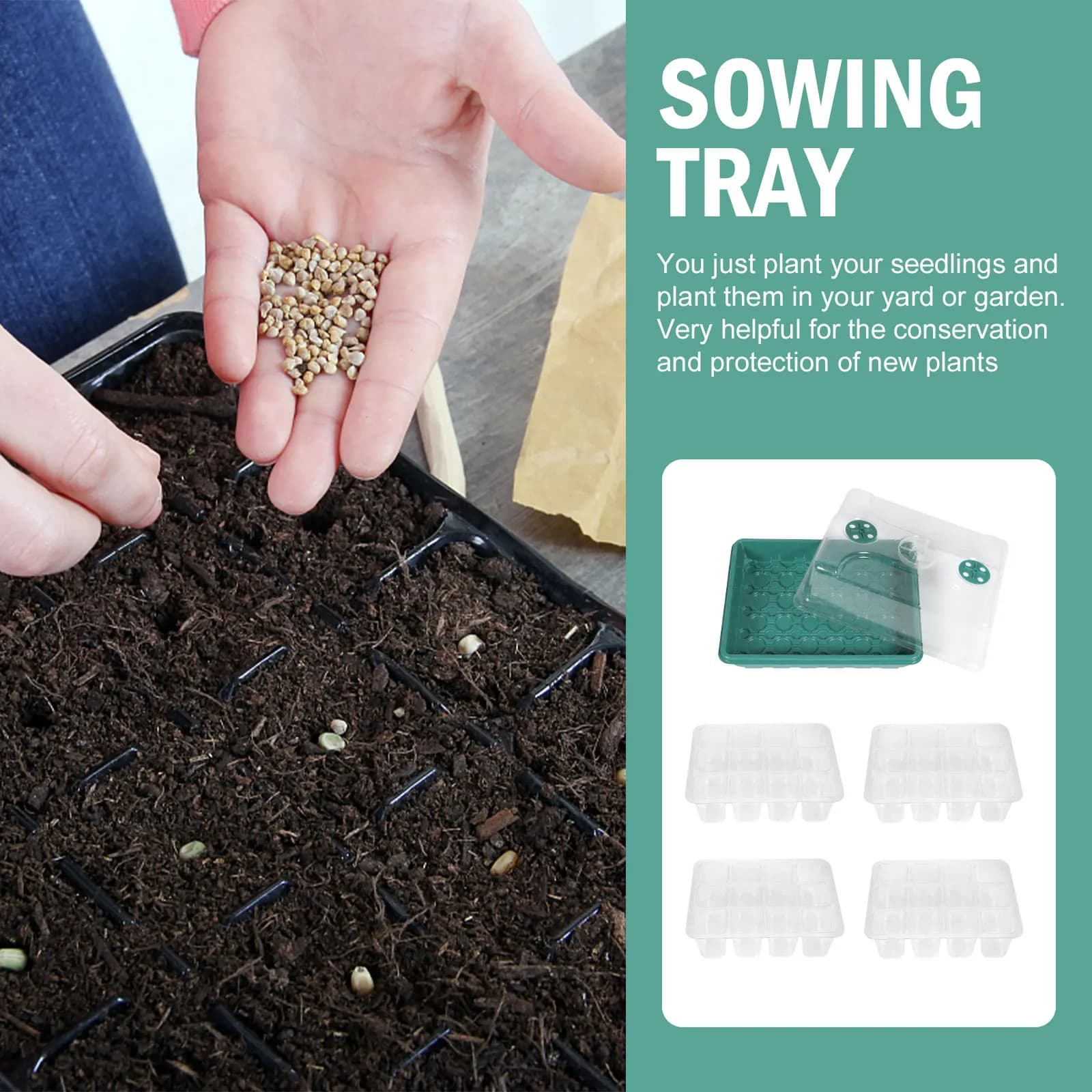 Set di 12 Vassoi per Germinazione in PP, Contenitori per Semina di Piccole Sementi, Pomodori, Fiori, Verdure, Frutta, per Giardinaggio Domestico e Vivaio