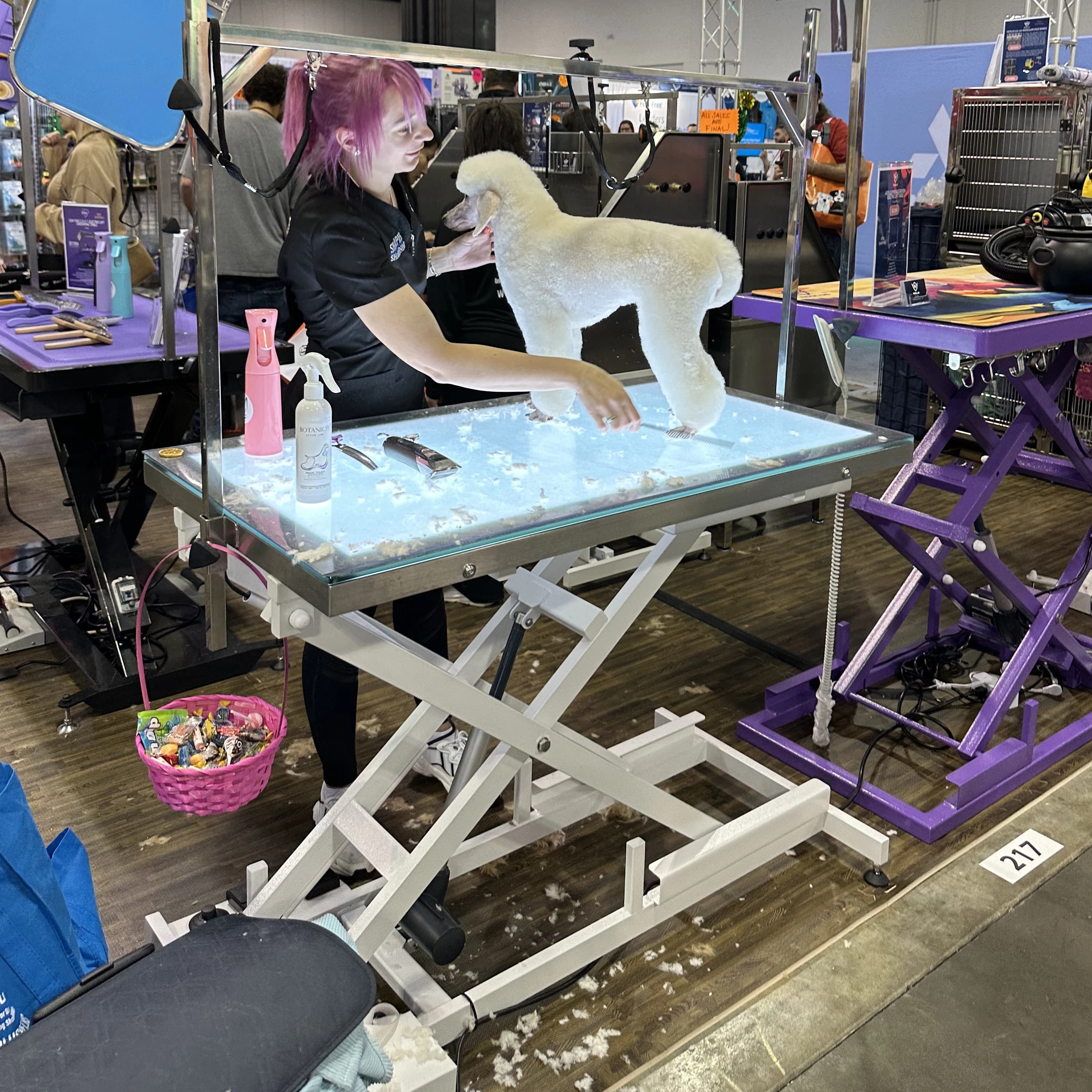 Pet Grooming Teaching Demonstration Table LED Lighting Factory Price Electric Lifting Foldable Table