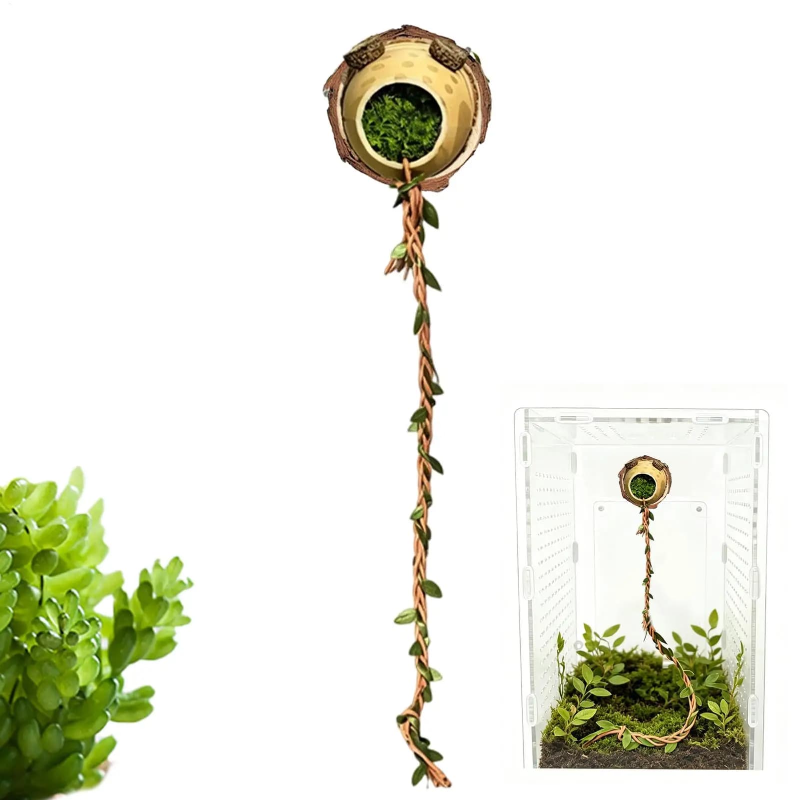 Jumping Spider Climbing Rope Magnetic Decorative Habitat Accessories Spider Shelter Climbing Rope For Small Reptiles Cage
