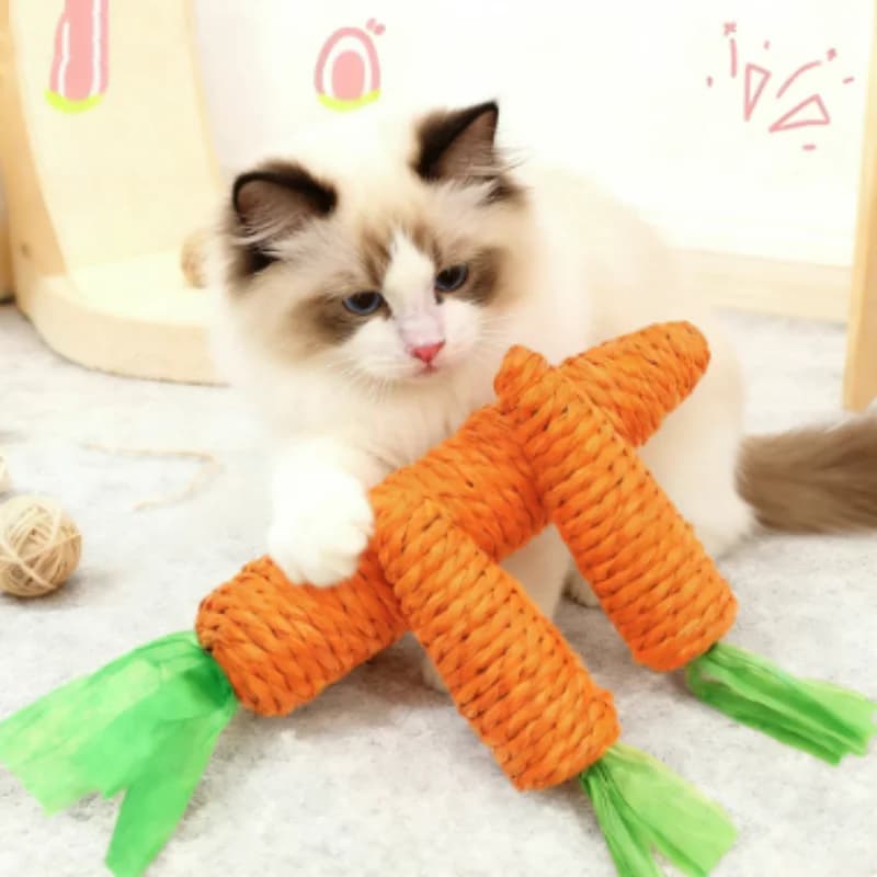 Divertente bastone da dentizione per gatti, suono, carota, coccole, giocattolo, anti-morso, antigraffio, forniture per animali domestici per l'intrattenimento interattivo
