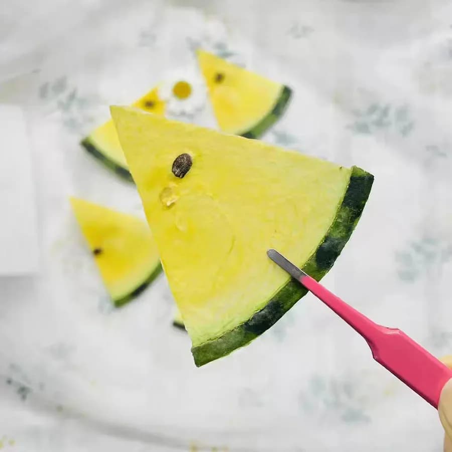 5 pezzi secchi pressati exopy frutta gialla anguria fette pianta erbario per gioielli cornice per foto cassa del telefono segnalibro creazione artigianale